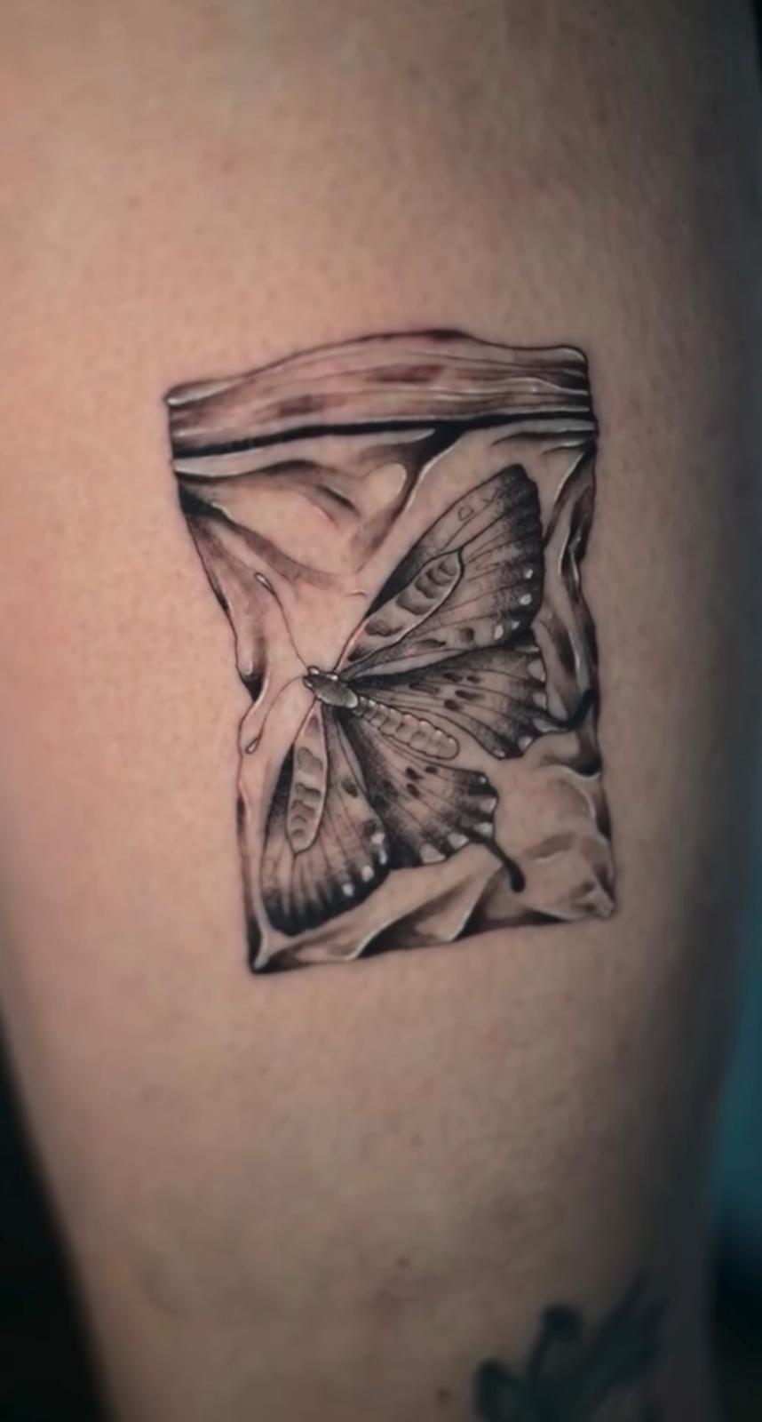Moth in Bag — Illustrative Realism