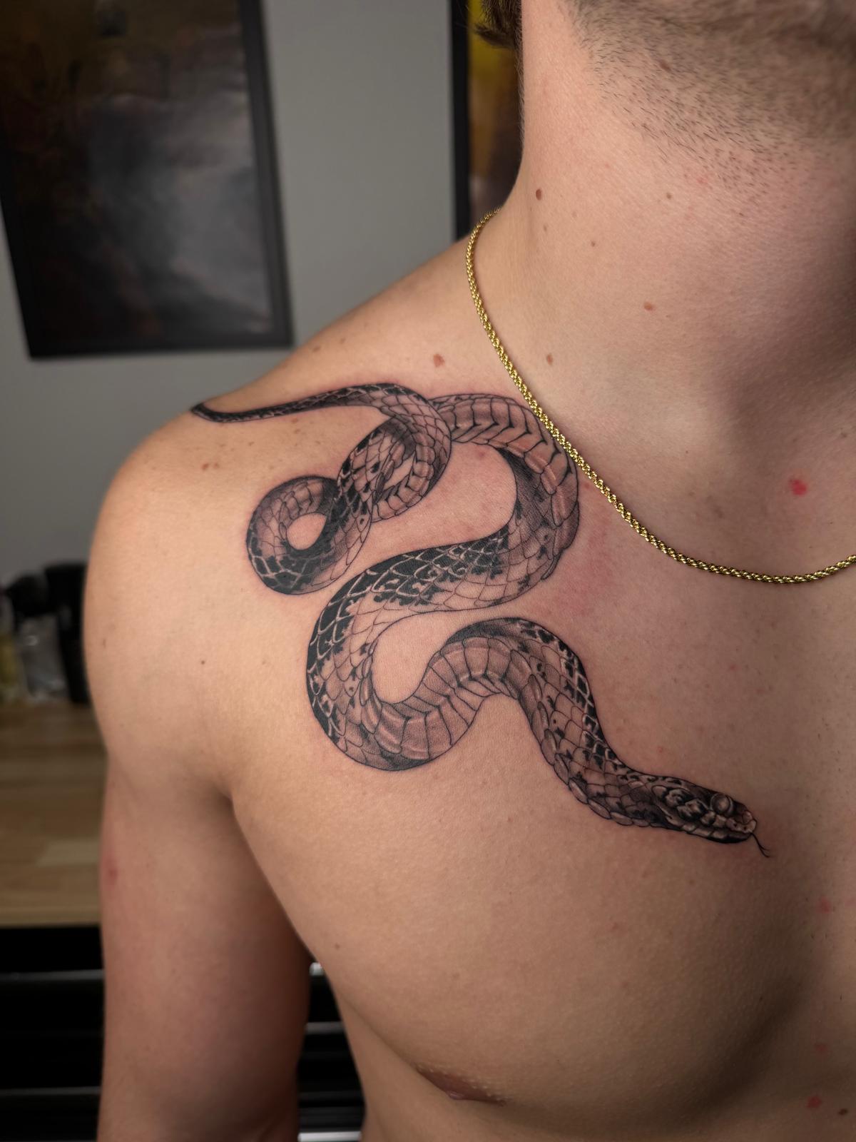 Snake — Shoulder